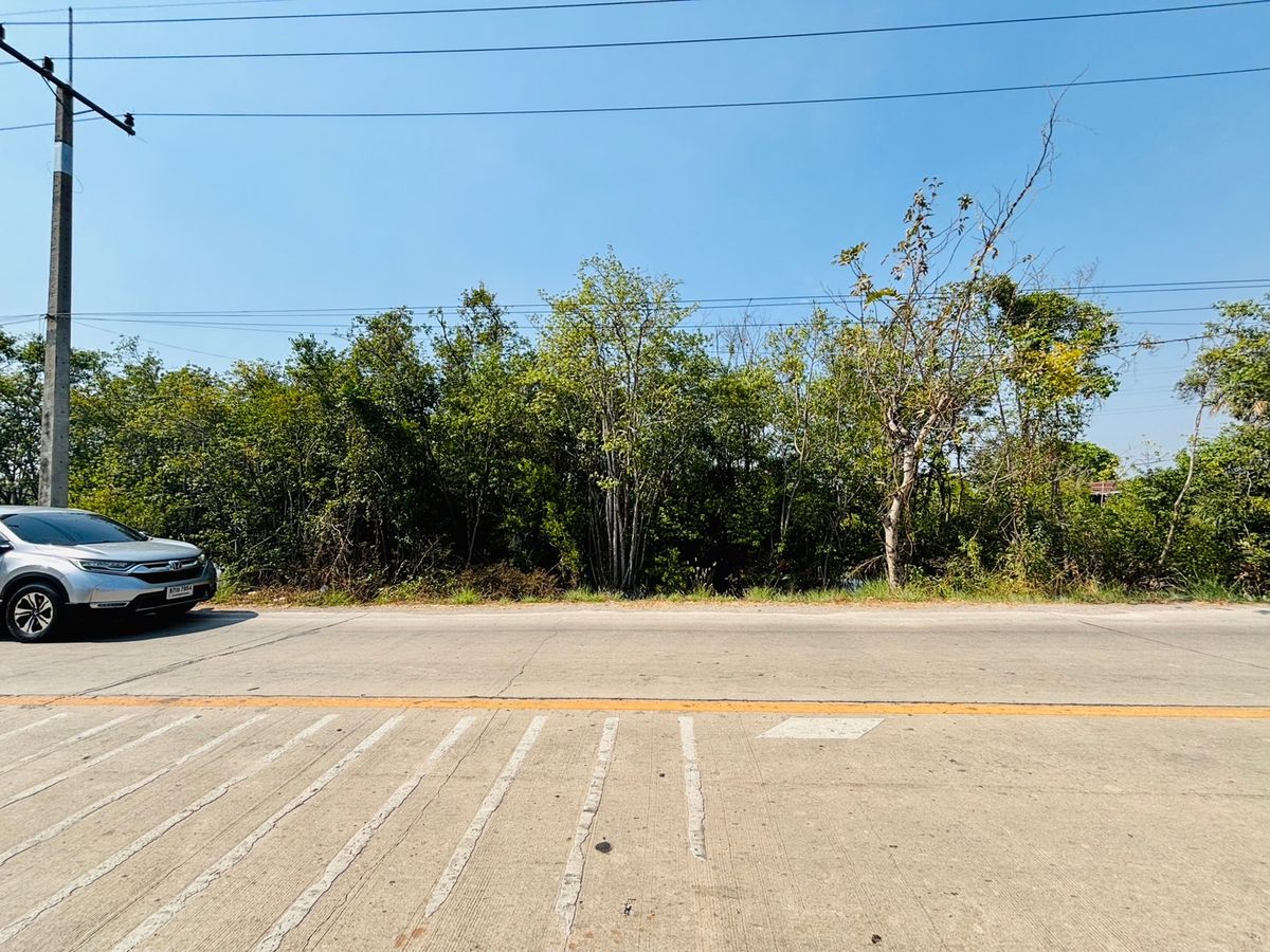 ขาย ที่ดิน 38 ไร่ สมุทรสาคร ติดถนน 4 เลน(กำลังจะขยายถนน) ใกล้พระราม 2 – รูปที่ 3