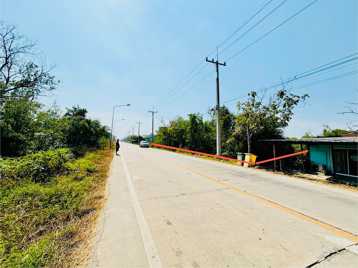 ขาย ที่ดิน 38 ไร่ สมุทรสาคร ติดถนน 4 เลน(กำลังจะขยายถนน) ใกล้พระราม 2 – รูปที่ 2