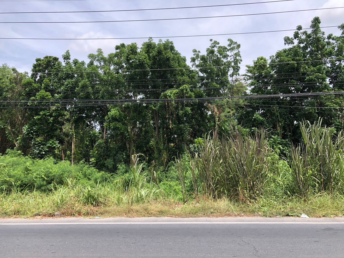 📣 ขายที่ดินแปลงสวย ถมแล้ว  📍 ที่ตั้ง: ทุ่งน้อย นครปฐม 🚗 ติดถนนใหญ่ ถวิลทวีพัฒนา 🌟 ใกล้ทางขึ้น-ลงมอเตอร์เวย์ M81  – รูปที่ 2