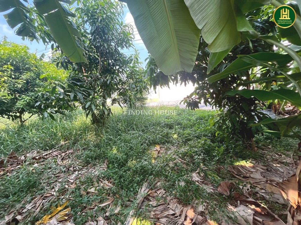 ขายที่ดิน 300 ตร.ว. ถมแล้ว ซอยสายไหม 26 เขตสายไหม กทม. ตรงข้ามตลาดเอซี สายไหม – รูปที่ 2