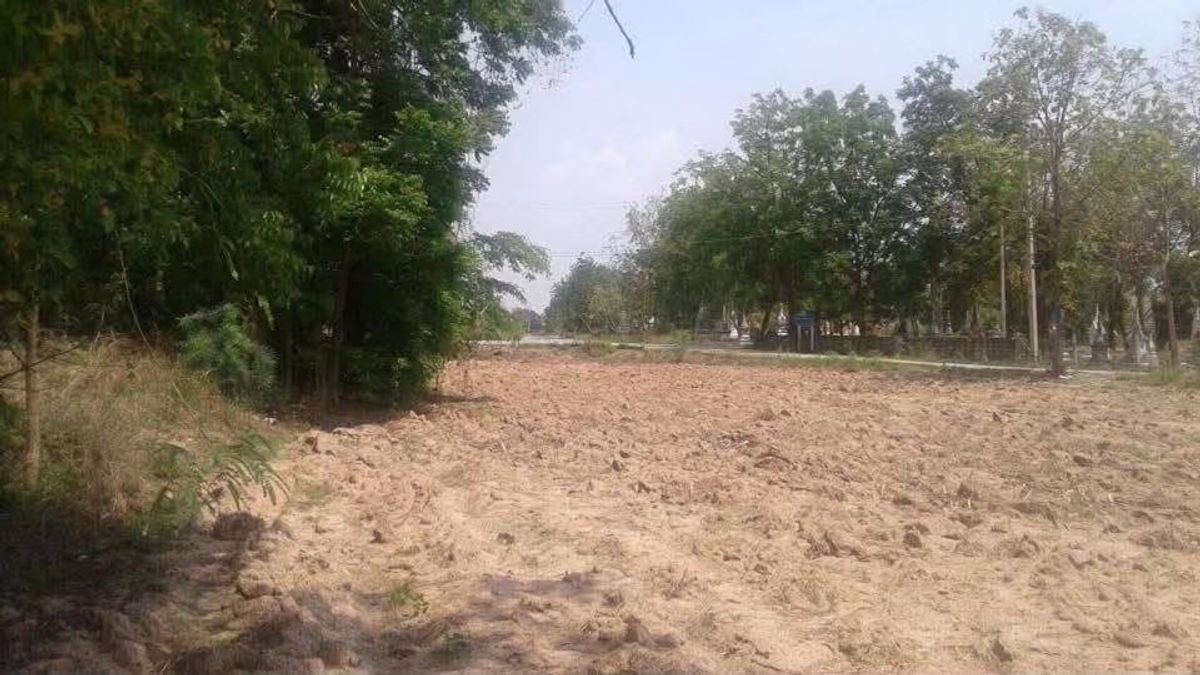 Quick sale of 7 rai of agricultural land, Nong Kai Temple, Nong Sano Lao Kwan, Kanchanaburi – รูปที่ 3