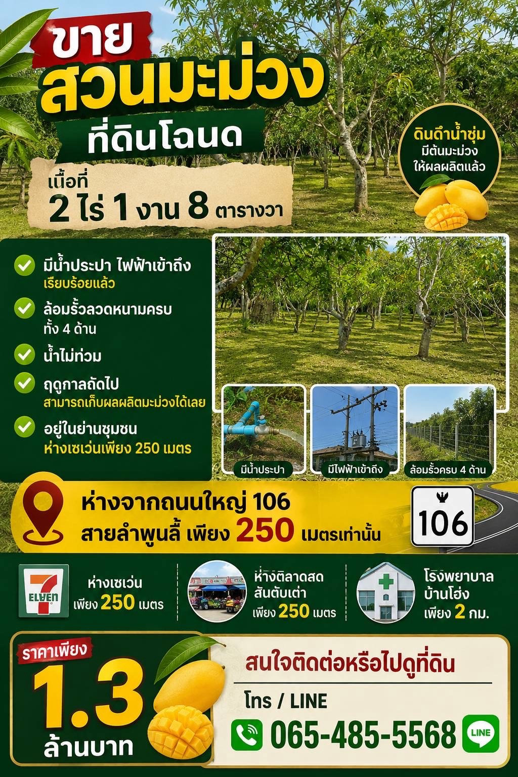 ขายที่ดิน พร้อมสวนมะม่วง