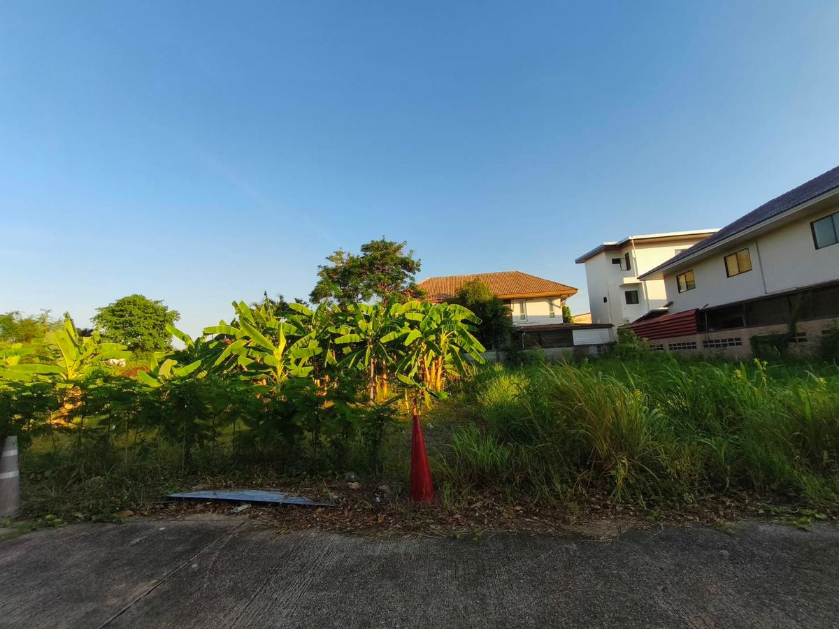 Land for sale 90 sq.m. Near Kanchanaphisek Road Near Phutthamonthon 1 Road, near Taling Chan Railway Road