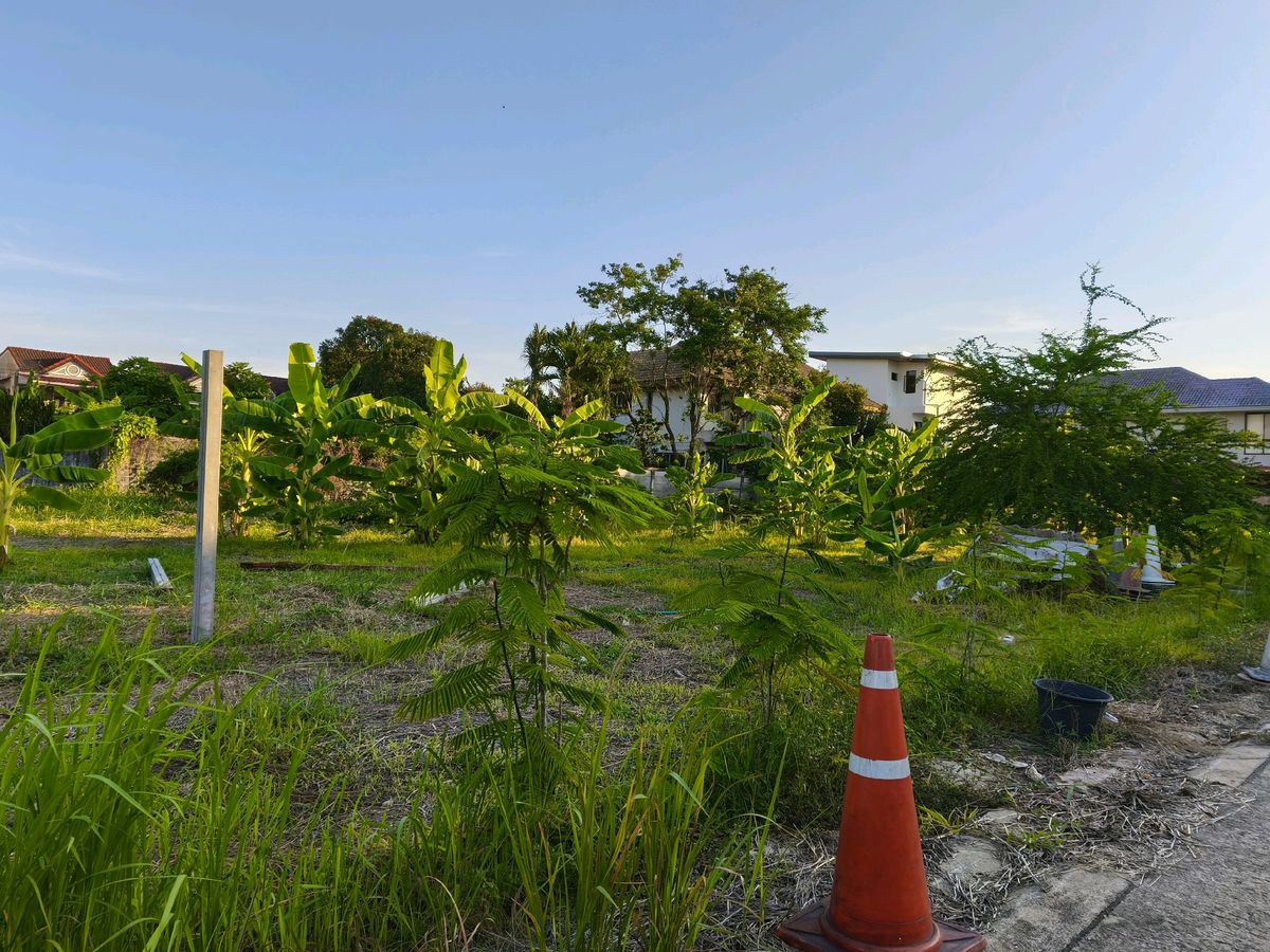 Land for sale 93 sq.w., Soi Suan Phak 50, near the expressway Near Kanchanaphisek Road Near Phutthamonthon 1 Road, near Taling Chan Railway Road