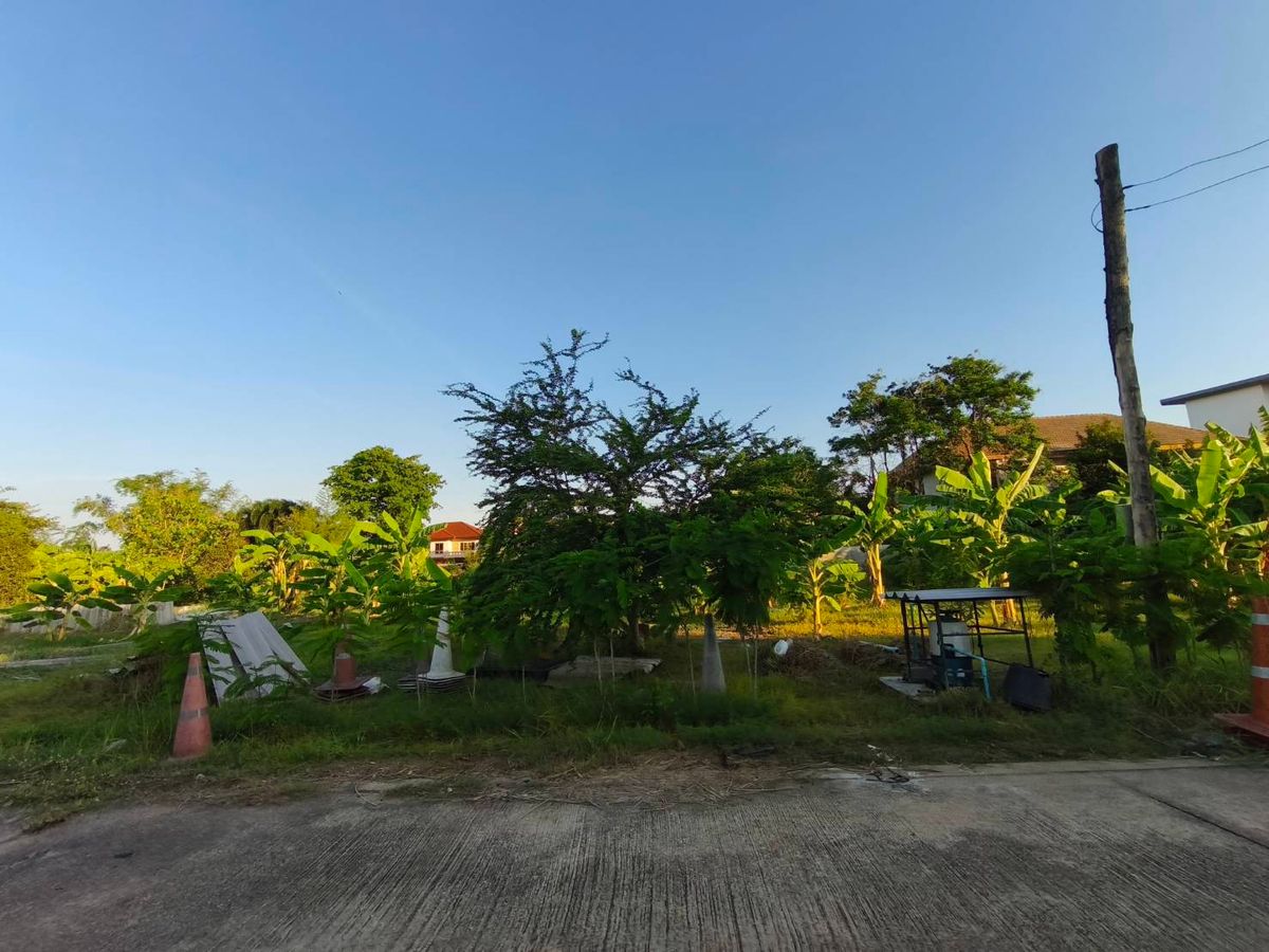 ขายที่ดิน 91 ตร.ว. ซ.สวนผัก 50 ใกล้จุดขึ้นลงทางด่วน ใกล้ถนนกาญจนาภิเษก ใกล้ถนนพุทธมณฑลสาย 1 ใกล้ถนนเลียบทางรถไฟตลิ่งชัน ขายที่ดิน 91 ตร.ว. ซ.สวนผัก 50 ใกล้จุดขึ้นลงทางด่วน ใกล้ถนนกาญจนาภิเษก ใกล้ถนนพุทธมณฑลสาย 1 ใกล้ถนนเลียบทางรถไฟตลิ่งชัน