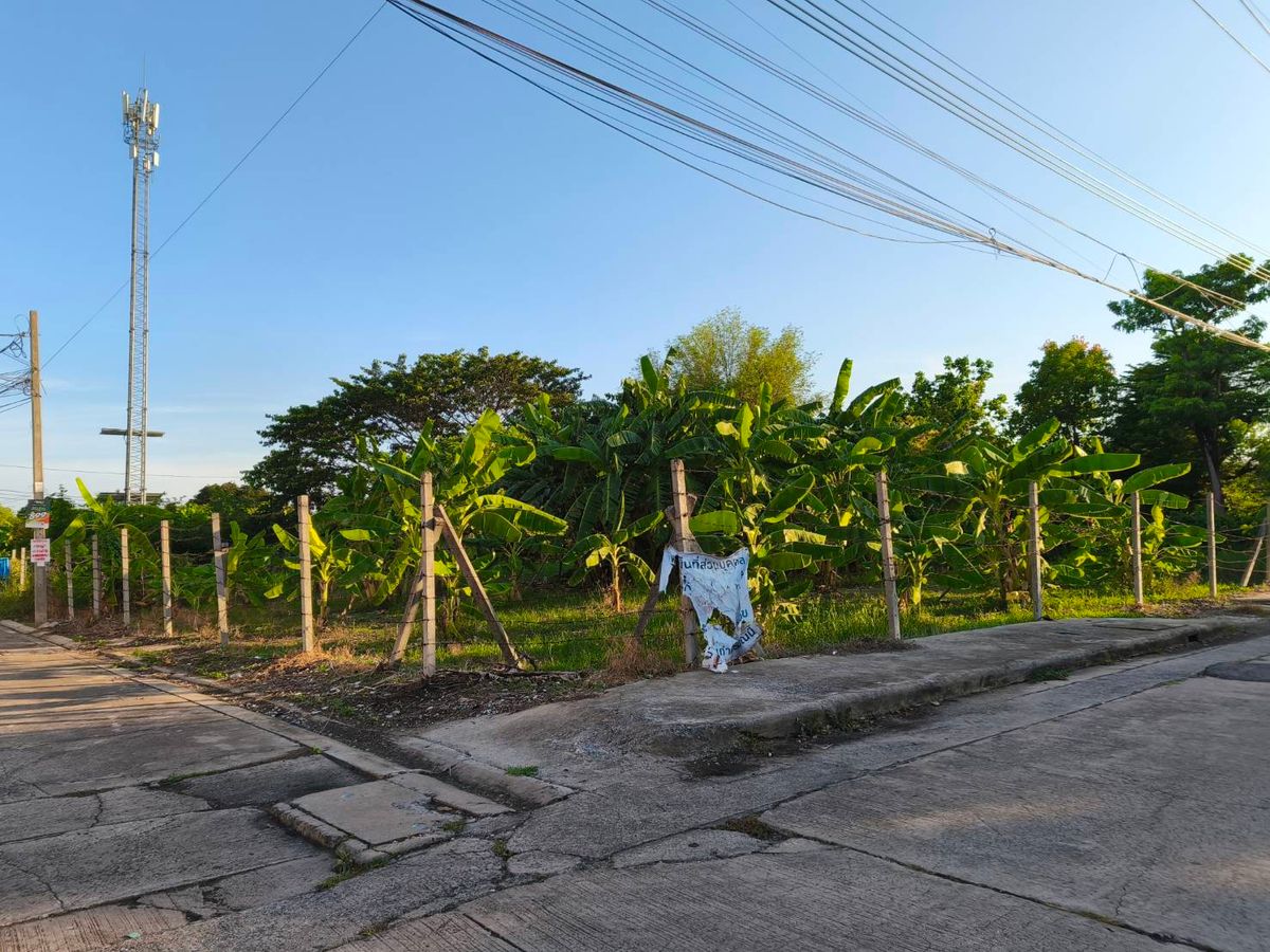 Land for sale 264 sq.w., Soi Suan Phak 50, near the expressway Near Kanchanaphisek Road Near Phutthamonthon 1 Road, near Taling Chan Railway Road
