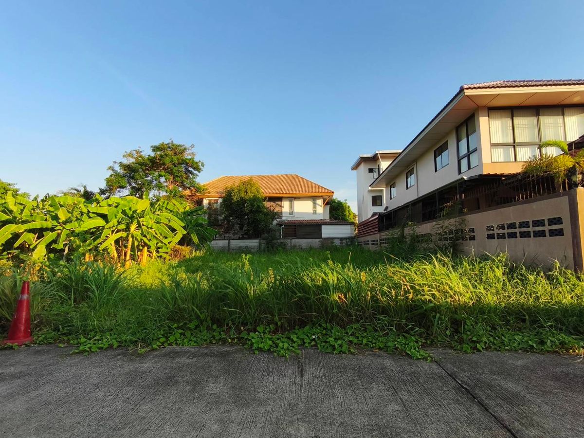 ขายที่ดิน 89 ตร.ว. ซ.สวนผัก 50 ใกล้จุดขึ้นลงทางด่วน ใกล้ถนนกาญจนาภิเษก ใกล้ถนนพุทธมณฑลสาย 1 ใกล้ถนนเลียบทางรถไฟตลิ่งชัน ขายที่ดิน 89 ตร.ว. ซ.สวนผัก 50 ใกล้จุดขึ้นลงทางด่วน ใกล้ถนนกาญจนาภิเษก ใกล้ถนนพุทธมณฑลสาย 1 ใกล้ถนนเลียบทางรถไฟตลิ่งชัน