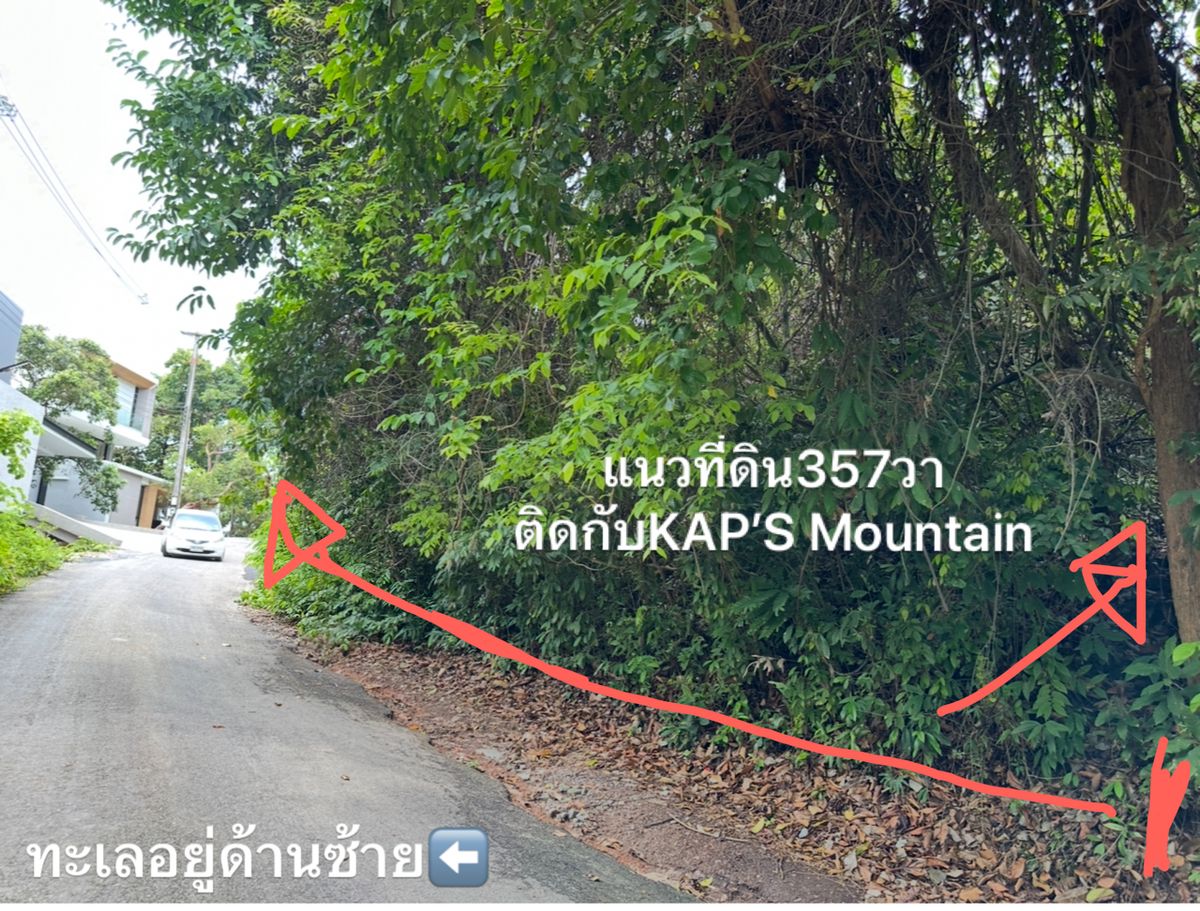 ขายที่ดินสวนวังแก้วระยอง อยู่เนินเขาติดทะเละเล200 ม. 375ตรววิวสวยพาโนรามา หาไม่ได้อีกแล้วเหลือแปลงสุดท้ายที่เดิมซื้อไว้นานแล้วและถูกแบ่งขายเหลือเพียงเท่านี้ แปลงที่ดินติดกับ Kap’s Mountain คอนโดมิเนียมหรู  ขายถูก 23,000/วา – รูปที่ 3