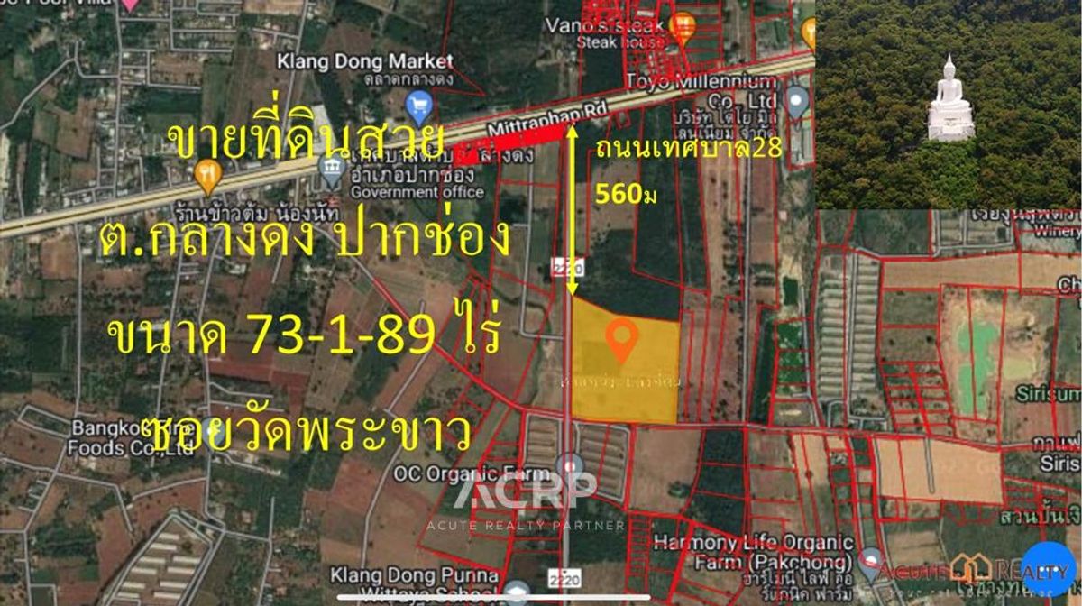 ขายที่ดิน ตำบลกลางดง อำเภอปากช่อง เขาใหญ่ นครราชสีมา – รูปที่ 3