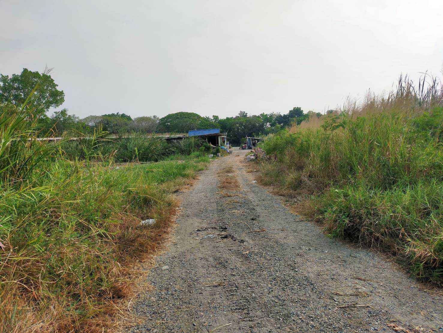 Land for Sale in Soi Mahachai, Bangna-Trad Rd. KM.10 Near Mega Bangna – รูปที่ 2