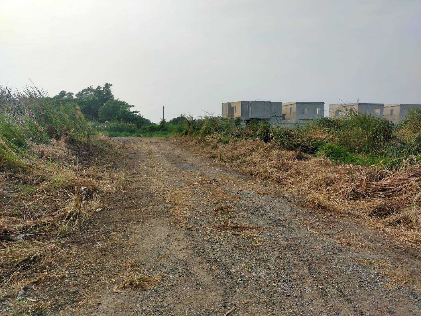 ขายที่ดิน ซอยมหาชัย ถ.บางนา-ตราด กม.10 96 ตร.ว. ใกล้ เมกา บางนา – รูปที่ 4