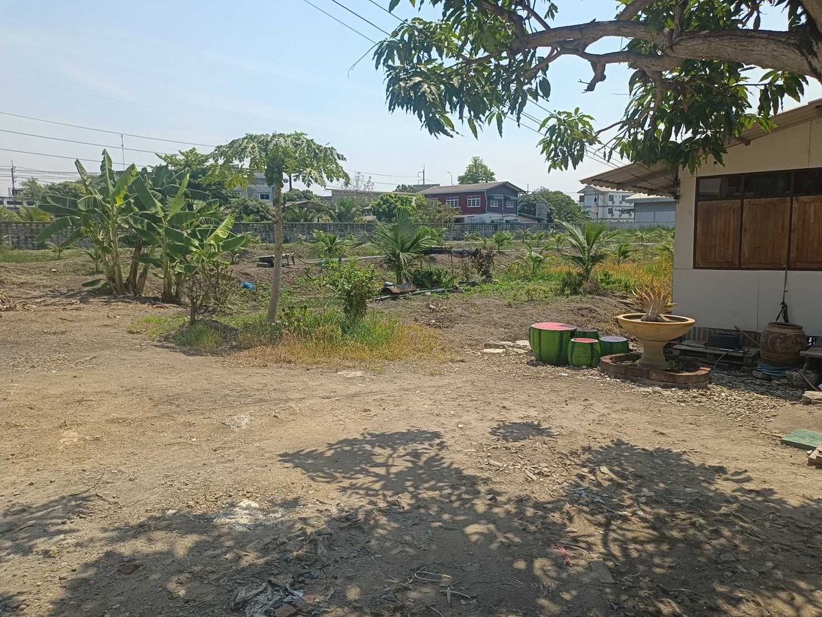 Land for Sale  5 Rai 1 Ngan 56 Sq.wah, Near Lotus Nakhon Chai Si – รูปที่ 2