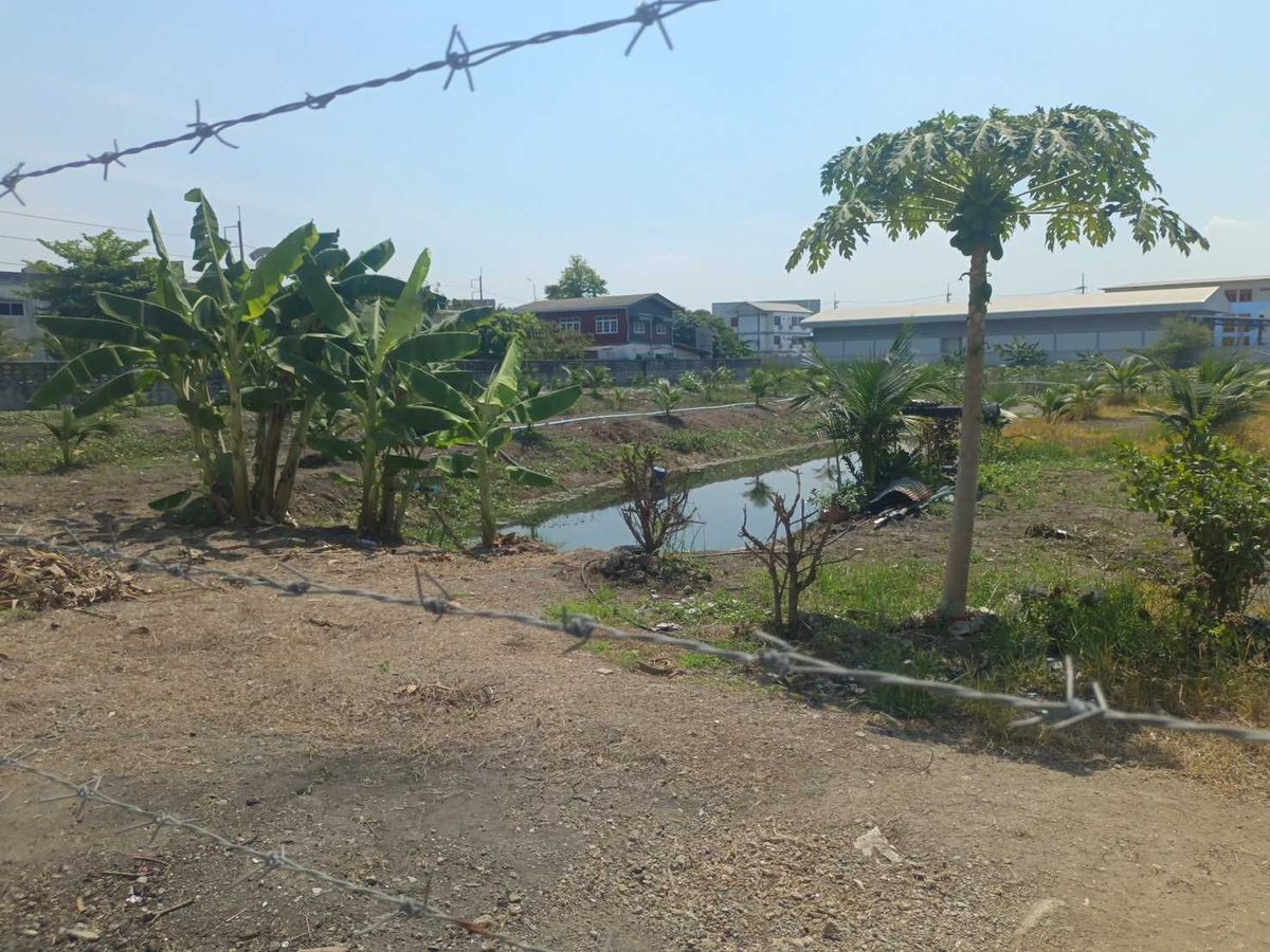 Land for Sale  5 Rai 1 Ngan 56 Sq.wah, Near Lotus Nakhon Chai Si – รูปที่ 3