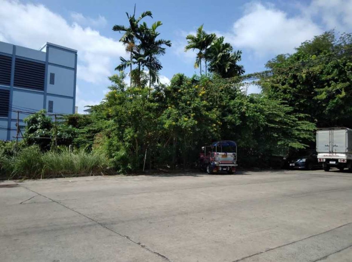 ขาย ที่ดิน สาธุประดิษฐ์ 49 ขนาด 128 ตรว ใกล้ ถ.ยานนาวา – รูปที่ 3