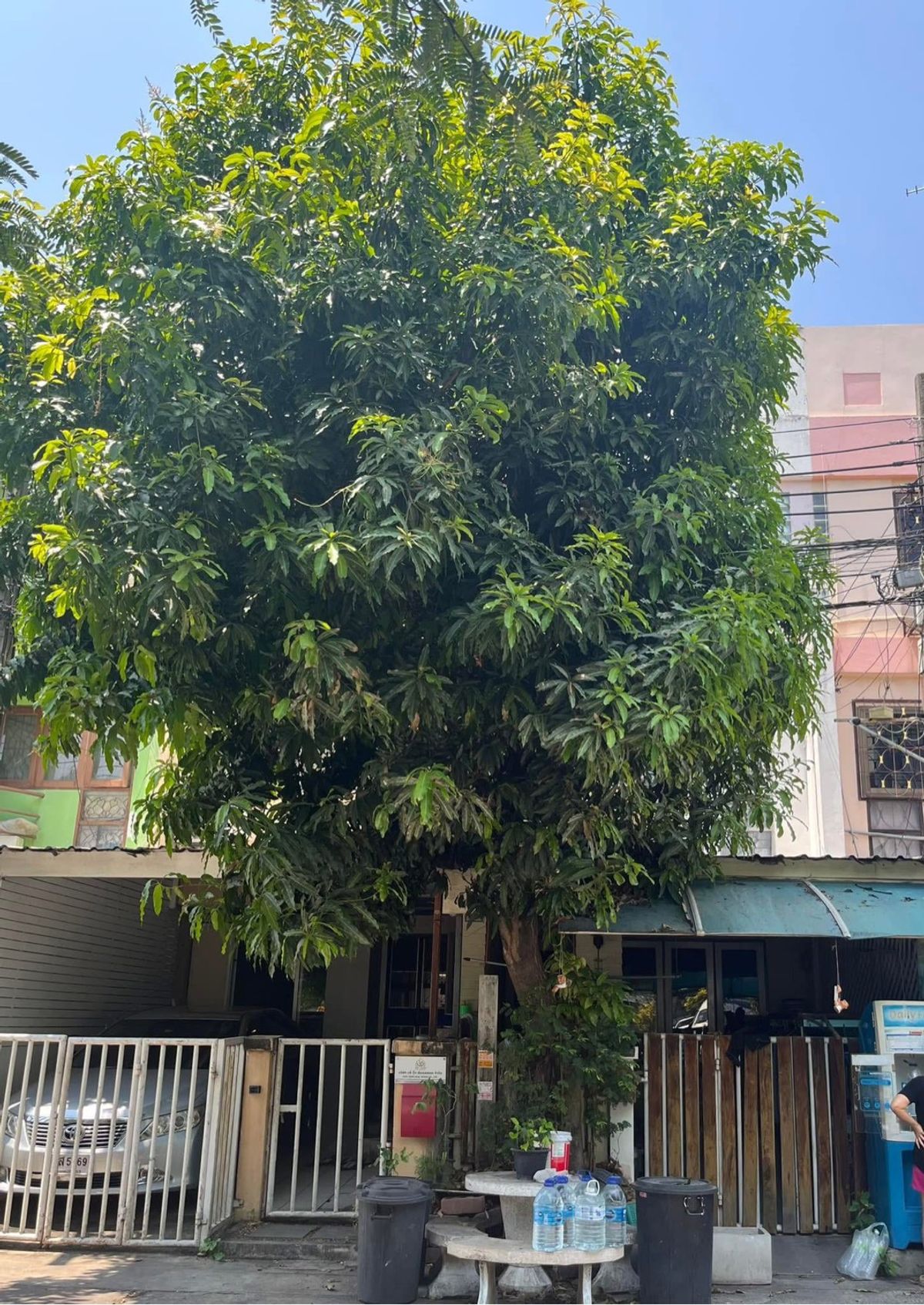 ทาวน์โฮม สภาพดี ทำเทเทพ ตกแต่งนิดหน่อยพร้อมอยู่ได้เลย บ้านธันยกานต์ วัชรพล ทาวน์โฮม สภาพดี ทำเทเทพ ตกแต่งนิดหน่อยพร้อมอยู่ได้เลย บ้านธันยกานต์ วัชรพล