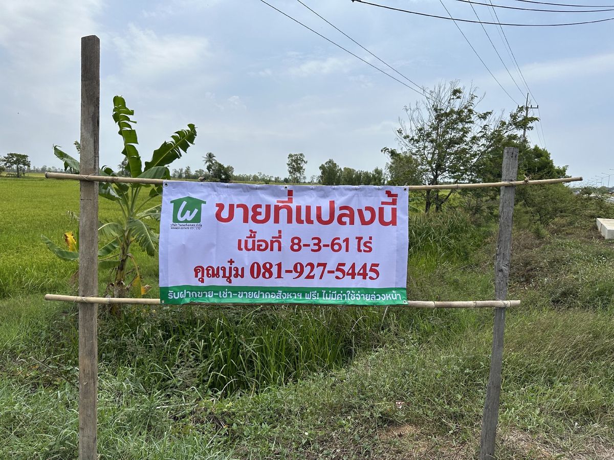 ขายที่ดินติดถนนเส้น 214 (กาฬสินธุ์-ร้อยเอ็ด)ต.เจ้าท่า อ.กมลาไสย จ.กาฬสินธุ์ ขายที่ดินติดถนนเส้น 214 (กาฬสินธุ์-ร้อยเอ็ด)ต.เจ้าท่า อ.กมลาไสย จ.กาฬสินธุ์