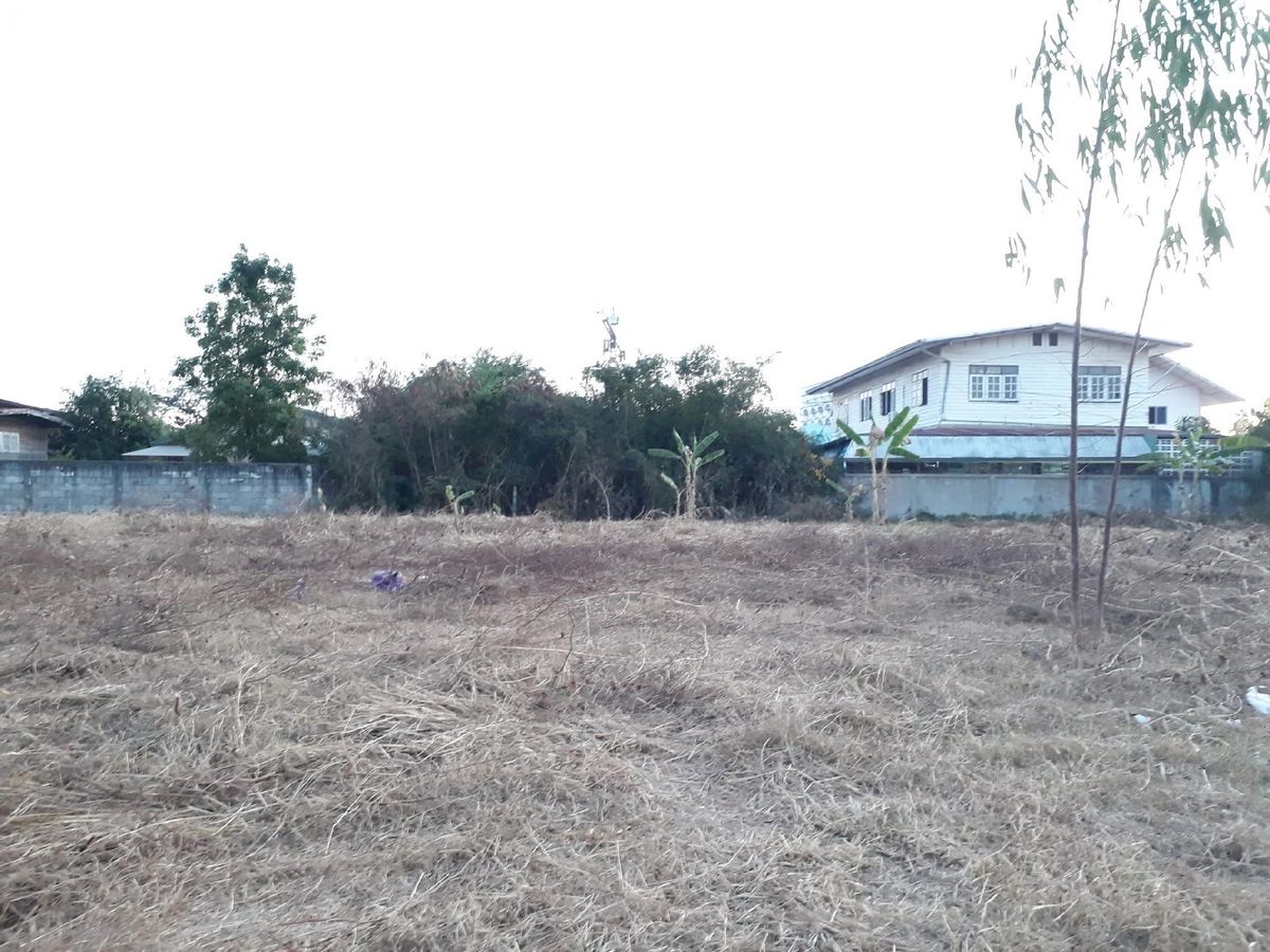 Land for rent, filled in, beautiful plot, Udon Thani, 1 rai 73 sq m, suitable for an office, home, coffee shop