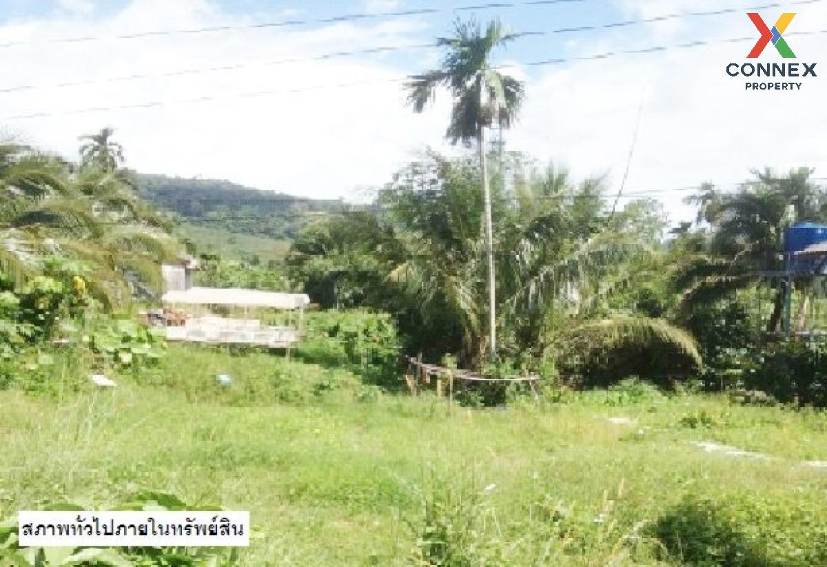 For Sale land 48 square wah Koh Lanta Krabi , Ko Lanta Yai , Ko Lanta , Krabi , CX-120325 For Sale land 48 square wah Koh Lanta Krabi , Ko Lanta Yai , Ko Lanta , Krabi , CX-120325