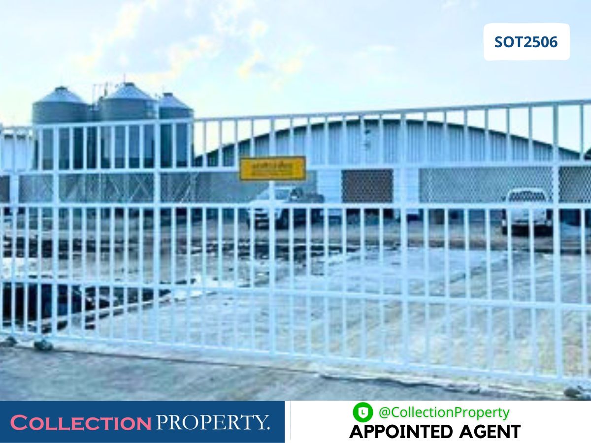 🔥 For Sale: Newly Built Closed-System Broiler Chicken Farm – Ready to Operate 🔥 For Sale: Newly Built Closed-System Broiler Chicken Farm – Ready to Operate