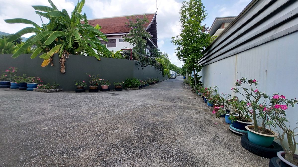 ให้เช่าสำนักงาน/อาคาร ทำ Wellness สำนักงาน อาคาร 2 ชั้น มี 5 ห้อง เฉลิมพระเกียรติร. 9 ซอย13 เข้าซอย200ม.ใกล้ รพ.สินแพทย์/ใกล้ห้าง เช่ายาวๆได้ 160,000/เดือน – รูปที่ 3