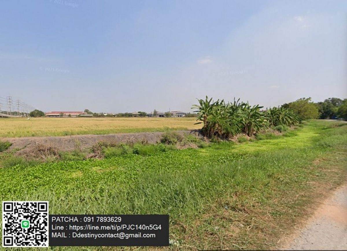 ขายด่วนที่ดินแปลงสวย ทำเลดี สภาพแวดล้อมดี ในราคาสุดคุ้ม แหล่งเศรษฐกิจ ถนนฉลองกรุง ลาดกระบัง กรุงเทพมหานคร – รูปที่ 4