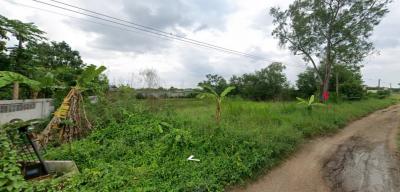ขายที่ดิน 1 ไร่ ซ.บงกช 6 ถ.รังสิต-นครนายก 31 ติดตลาดทวีโชค ใกล้ ม.กรุงเทพ