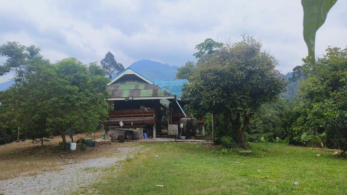 Urgent sale of land on the black road Urgent sale of land on the black road
