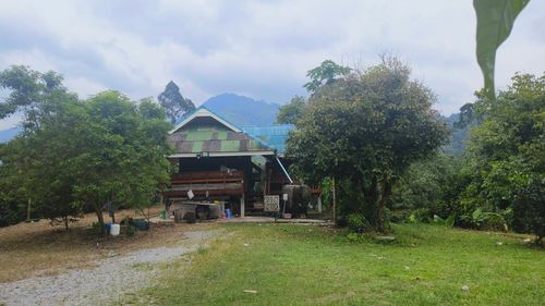 Urgent sale of land on the black road