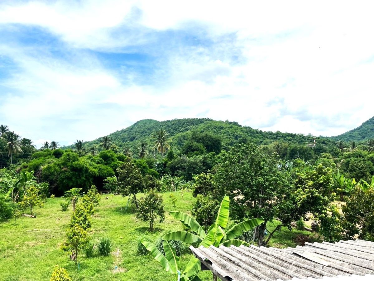 Land for sale, durian orchard, rambutan, 1 rai 1 ngan, Lom Sak, Phetchabun, near Phetchabun airport. – รูปที่ 3