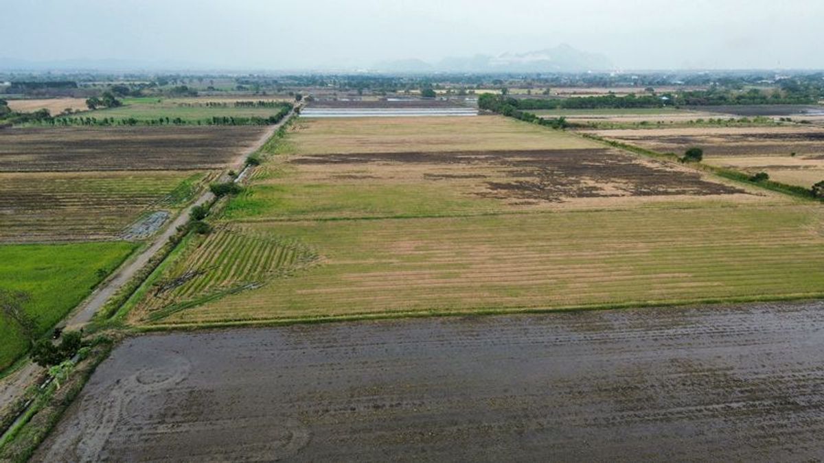 ขายที่ดิน 9-1-23 ไร่ ตำบลโปร่ง อำเภอหนองโดน จังหวัดสระบุรี
