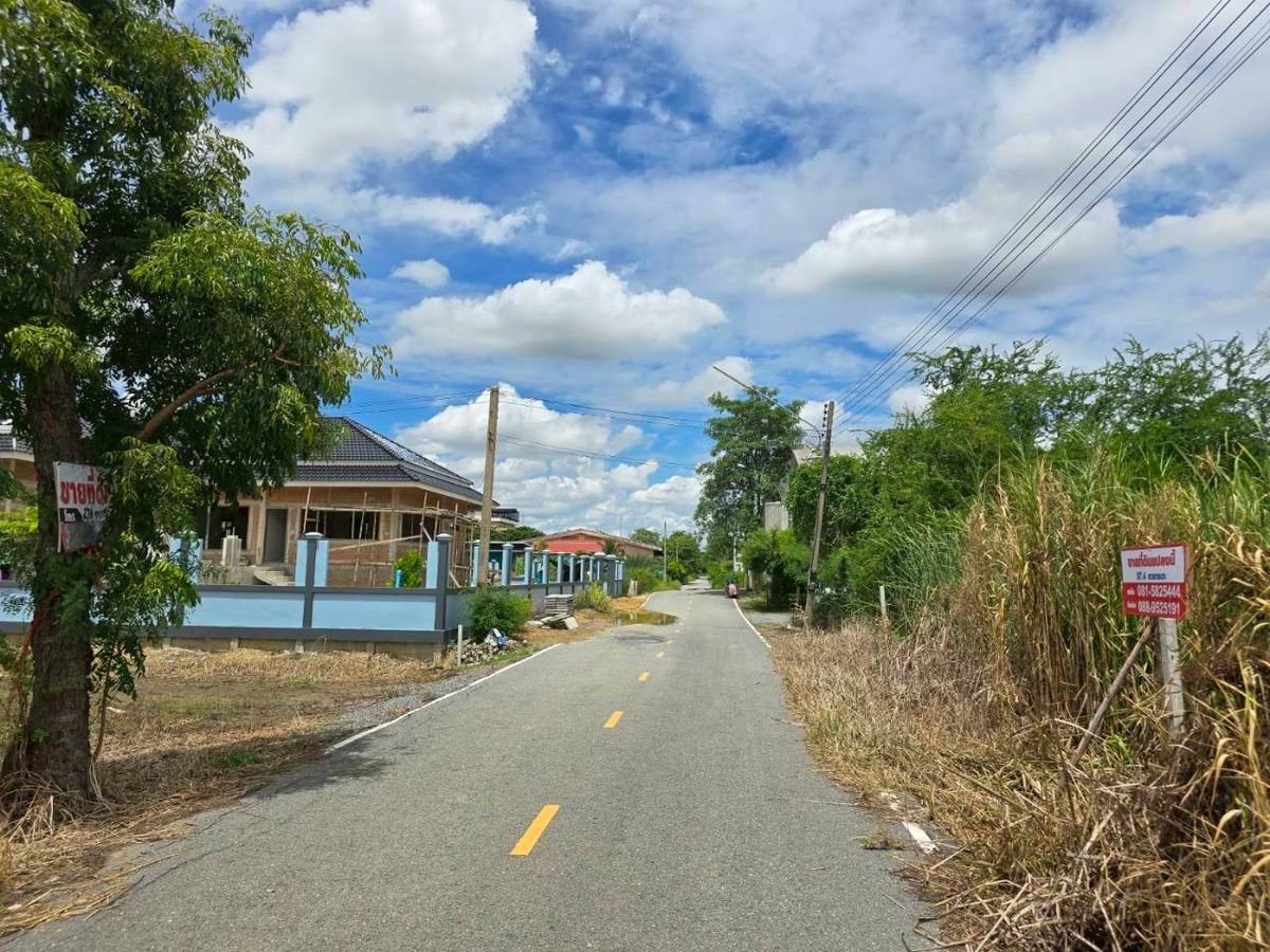 ขายที่ดินเปล่า ศาลายา ใกล้มหาวิทยาลัยมหิดล  – รูปที่ 3