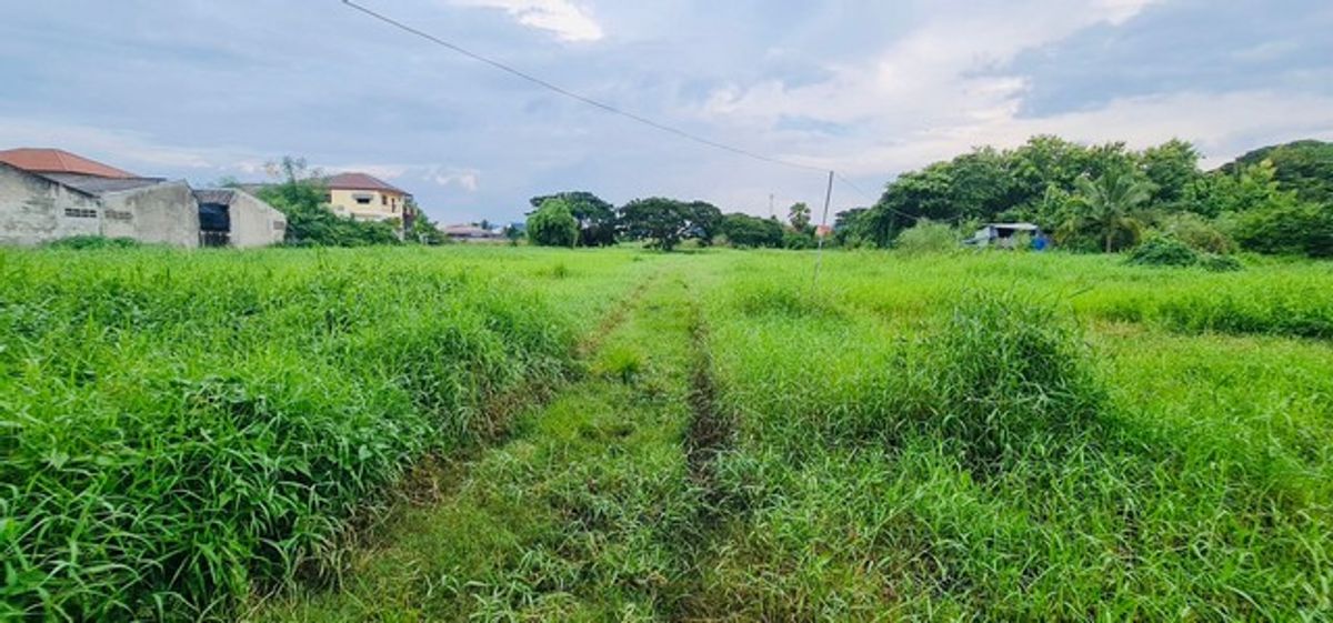 ขายที่ดิน ใจกลางเมืองเพชรบูรณ์ เนื้อที่ 18-1-3 ไร่ ติดถนนสันติสุข เข้าออกได้หลายเส้นทาง บรรยากาศดีเงียบสงบน่าอยู่ ขายที่ดิน ใจกลางเมืองเพชรบูรณ์ เนื้อที่ 18-1-3 ไร่ ติดถนนสันติสุข เข้าออกได้หลายเส้นทาง บรรยากาศดีเงียบสงบน่าอยู่