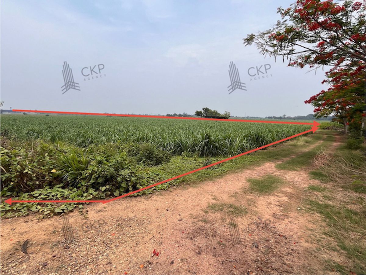 ที่ดินเปล่าขนาดใหญ่ ใกล้ม.เกษตรศาสตร์ วิทยาเขตกำแพงแสน ใกล้ตัวอำเภอกำแพงแสน – รูปที่ 3