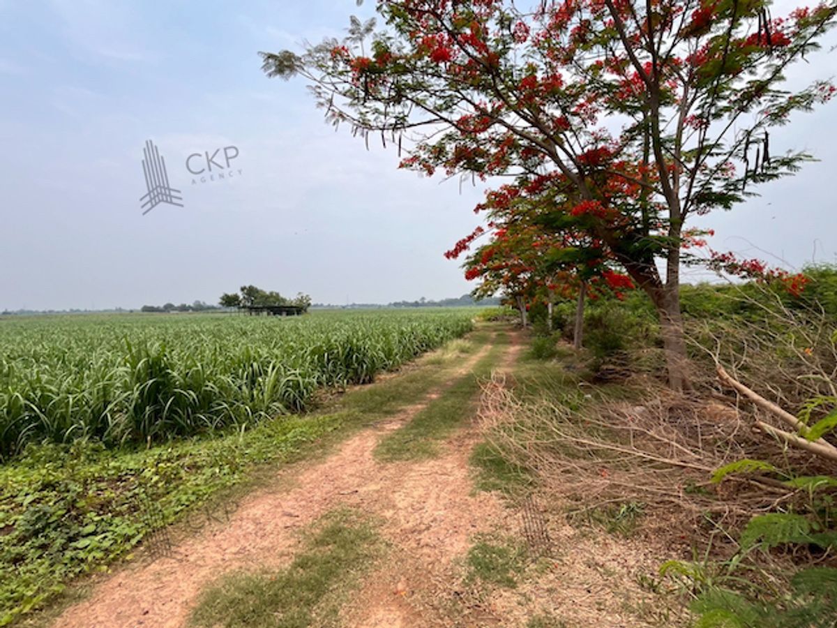ที่ดินเปล่าขนาดใหญ่ ใกล้ม.เกษตรศาสตร์ วิทยาเขตกำแพงแสน ใกล้ตัวอำเภอกำแพงแสน – รูปที่ 2