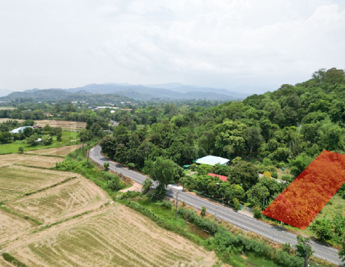 ขายที่ดินติดถนนหลวง เนื้อที่ 142 ตารางวา สาริกา นครนายก – รูปที่ 4