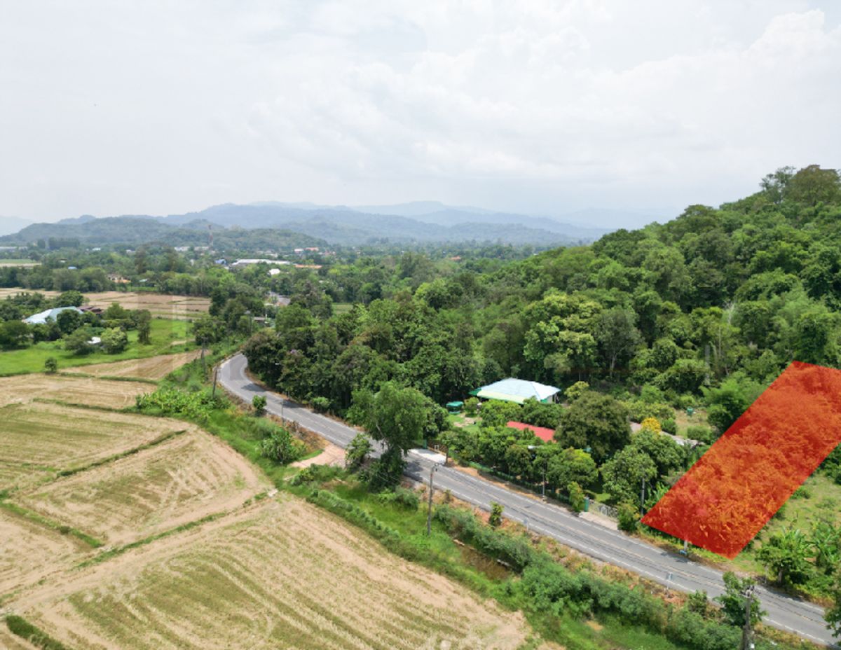 ขายที่ดินติดถนนหลวง เนื้อที่ 142 ตารางวา สาริกา นครนายก – รูปที่ 3