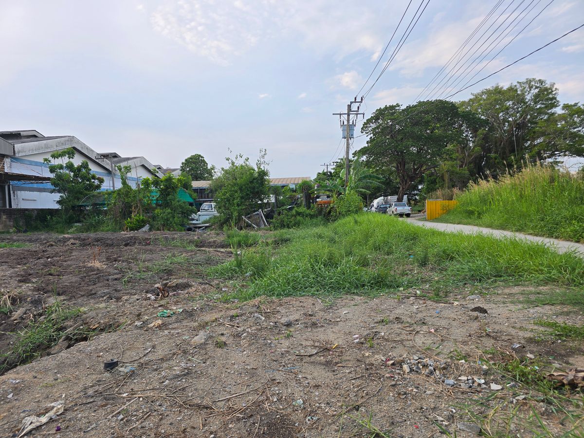Land for sale 312 Sq. Son Sutin Mansion Opposite Soi King Kong, Thepharak Road, Km. 25, Bang Sao Thong District, the price is not strong. – รูปที่ 3
