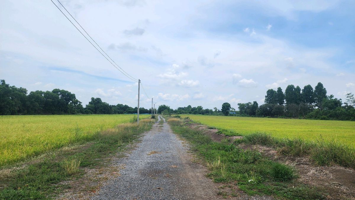 Land for sale 4 rai, Nong Khae, Saraburi, near Nong Rong Temple – รูปที่ 3