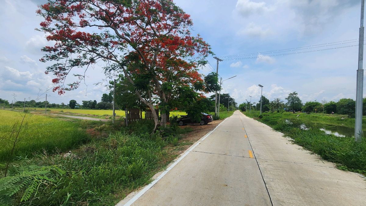 Land for sale 4 rai, Nong Khae, Saraburi, near Nong Rong Temple – รูปที่ 2