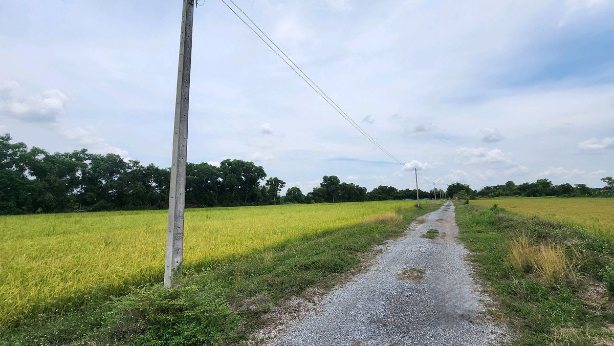 Land for sale 4 rai, Nong Khae, Saraburi, near Nong Rong Temple – รูปที่ 4