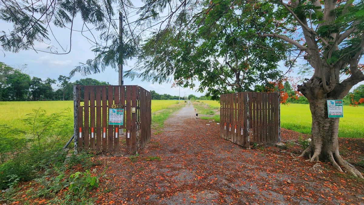 Land for sale 4 rai, Nong Khae, Saraburi, near Nong Rong Temple