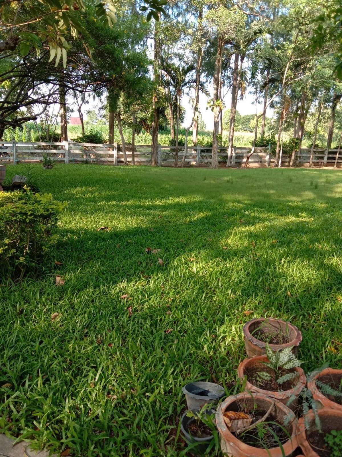 Over 2 rai of land, green area near Bonanza Khao Yai and Ran Cho Chanwi Over 2 rai of land, green area near Bonanza Khao Yai and Ran Cho Chanwi