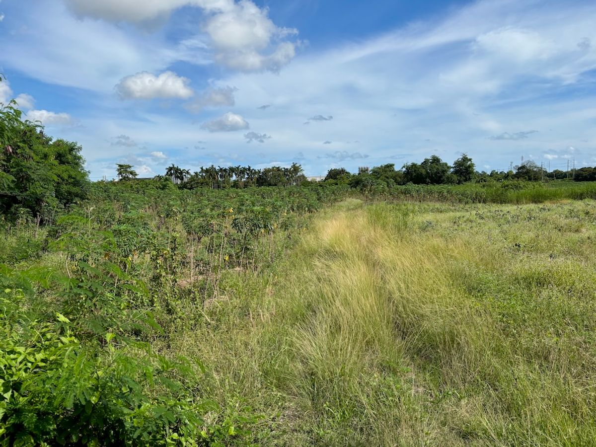 Purple pattern land, 23 rai 2 ngan 76 sq. Wah, Map Ta Phut, Rayong, the soil next to Buraphat Road, near the expressway near the pier near the airport. – รูปที่ 3