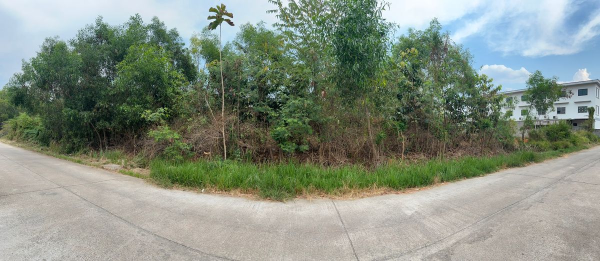 ขายที่ดินเปล่าแปลงสวย ทำเลดี ติดถนน 2 ด้าน  📍บ้านเป็ด | เมืองขอนแก่น | ใกล้บึงหนองโคตร – ตลาดคำไฮ