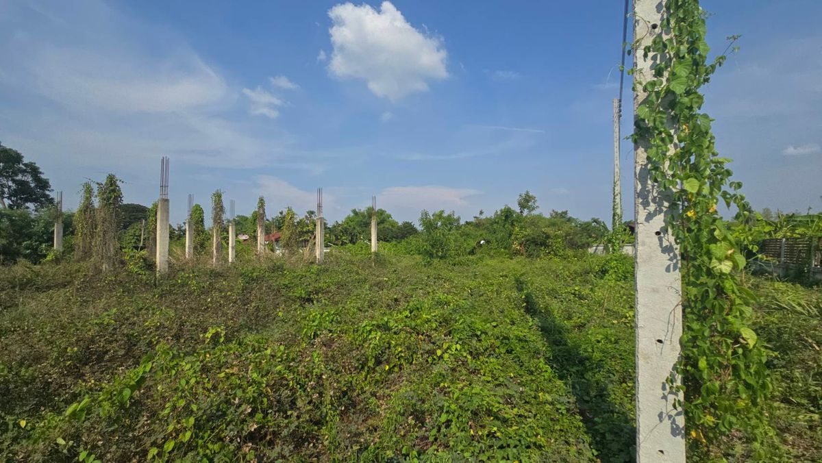 Land for sale 322.9 square wah, Si Prachan District, Suphan Buri Province, special price – รูปที่ 2