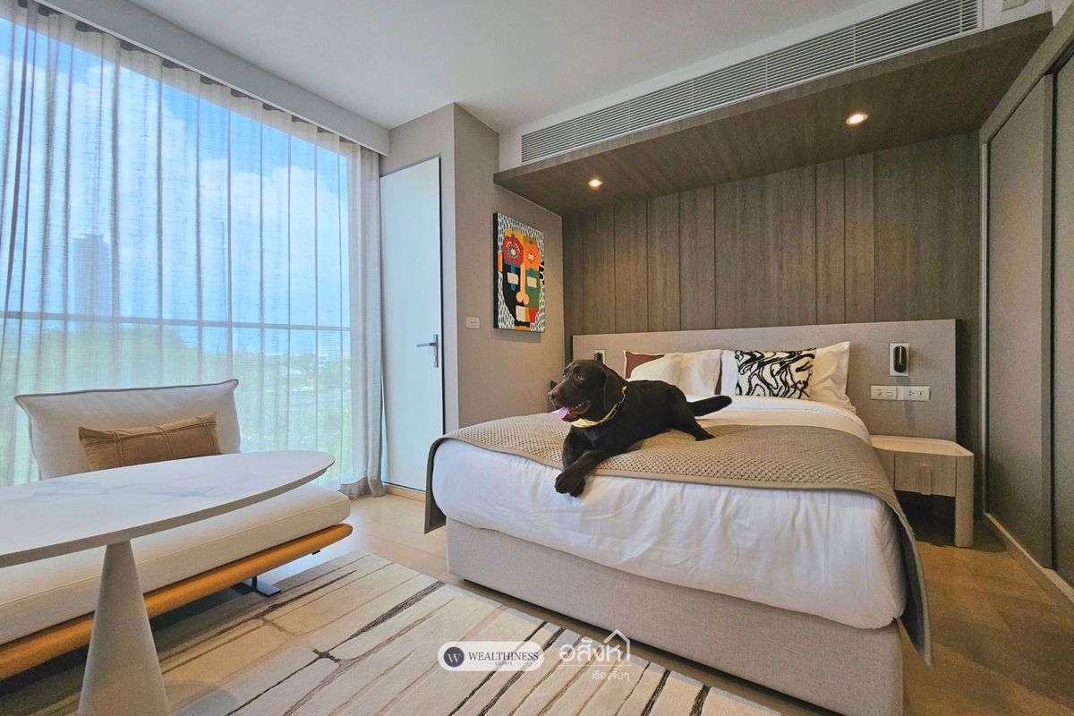🐶Pet Friendly Condo Best price&FullyFitted🐱 SCOPE Promsri 1 bed, 28 Sqm. Only 6.8 MB 🐶Pet Friendly Condo Best price&FullyFitted🐱 SCOPE Promsri 1 bed, 28 Sqm. Only 6.8 MB