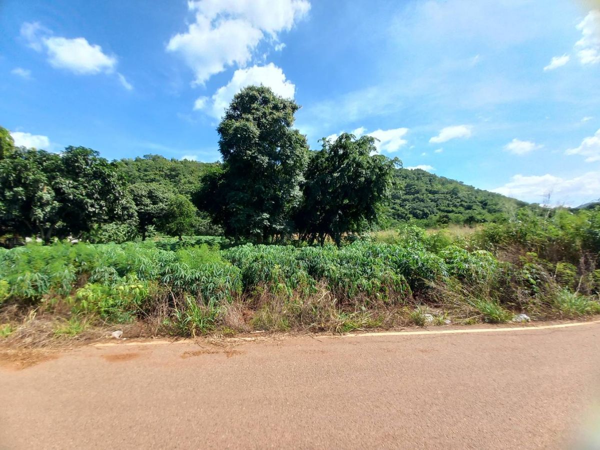 Pak Chong land for sale, Khao Yai, beautiful mountain view and very cheap (7,500 baht) 2-21 Rai, Nong Nam Daeng Subdistrict, Pak Chong District, Nakhon Ratchasima Pak Chong land for sale, Khao Yai, beautiful mountain view and very cheap (7,500 baht) 2-21 Rai, Nong Nam Daeng Subdistrict, Pak Chong District, Nakhon Ratchasima