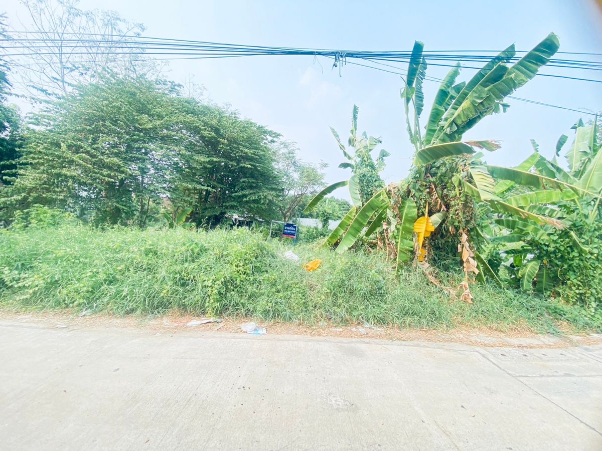 ขายที่ดินเปล่า “บางเขน–รามอินทรา” 200 ตรว. ทำเลทอง ใกล้ BTS สะพานใหม่ ราคาดีที่สุดในย่านนี้!