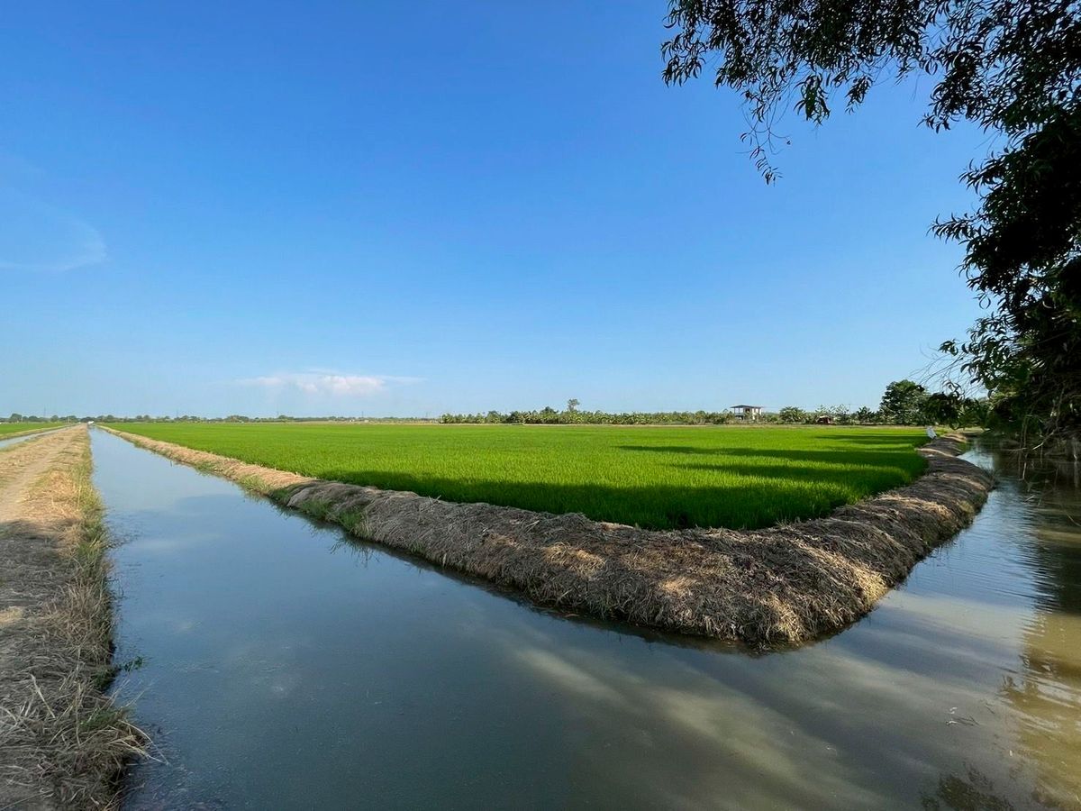 Large plot of land 49-2-16 Rai Rangsit-Nakhon Nayok Khlong 9 | Pink area, width 70 m. Deep 1 km.