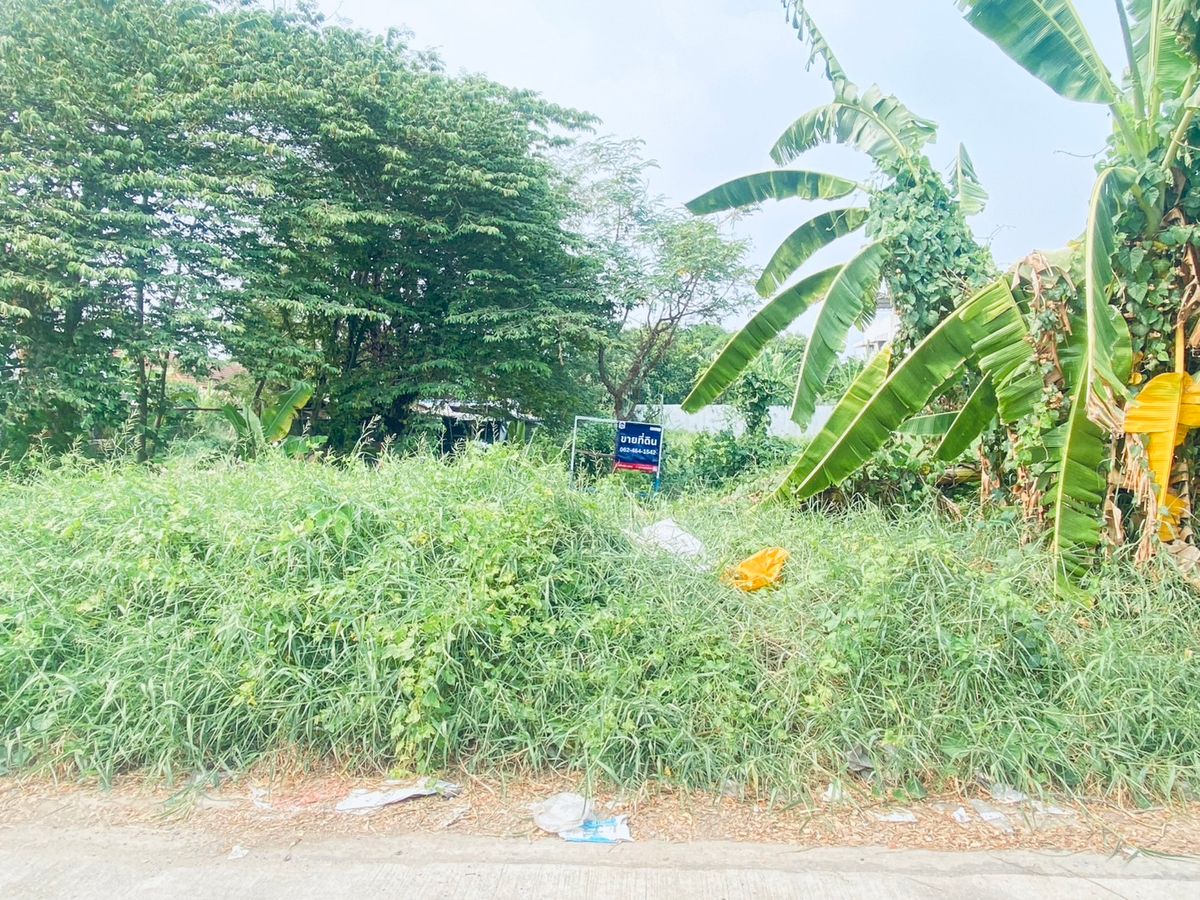 ขายที่ดินเปล่า “บางเขน–รามอินทรา” 200 ตรว. ทำเลทอง ใกล้ BTS สะพานใหม่ ราคาดีที่สุดในย่านนี้! – รูปที่ 4
